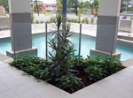 Broadbeach Accommodation