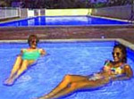 Condor Apartments Surfers Paradise Accommodation