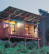 O'Reilleys Rainforest Guesthouse