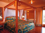 Spacious Bedroom - O'Reilleys Rain Forest Guesthouse
