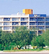 The Rays Resort