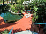 Cairns Tropical Queensland Australia