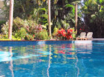 Holiday Travel Accommodation
