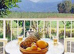 Plantation Resort
